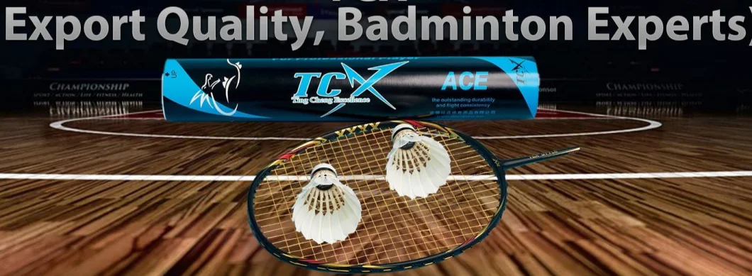 Custom Printed Graphite Badminton Racket Set