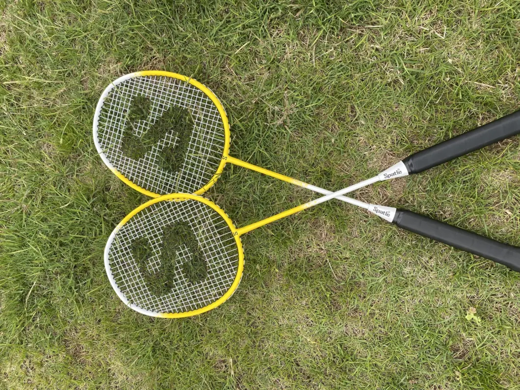 Badminton Racket Set with Rackets/Shuttlecocks/Net/Volleyball/Pump for Family Fun